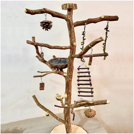 Benefits of Wooden Parrot Toys