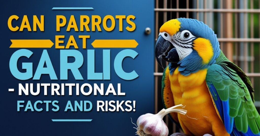 Can Parrots Eat Garlic - Nutritional Facts and Risks!