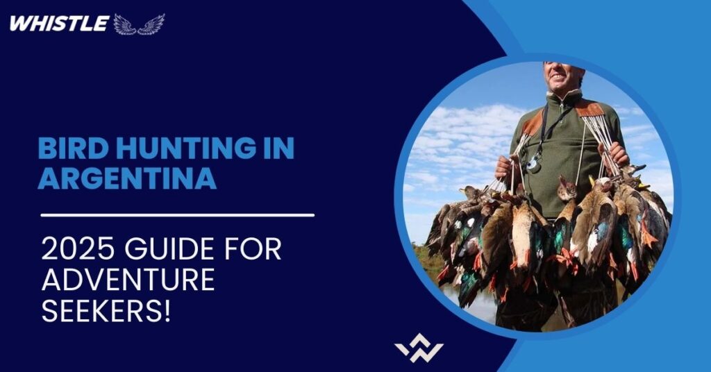 Bird Hunting in Argentina -2025 Guide for Adventure Seekers!