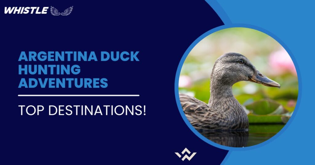 Argentina Duck Hunting Adventures - Top Destinations!