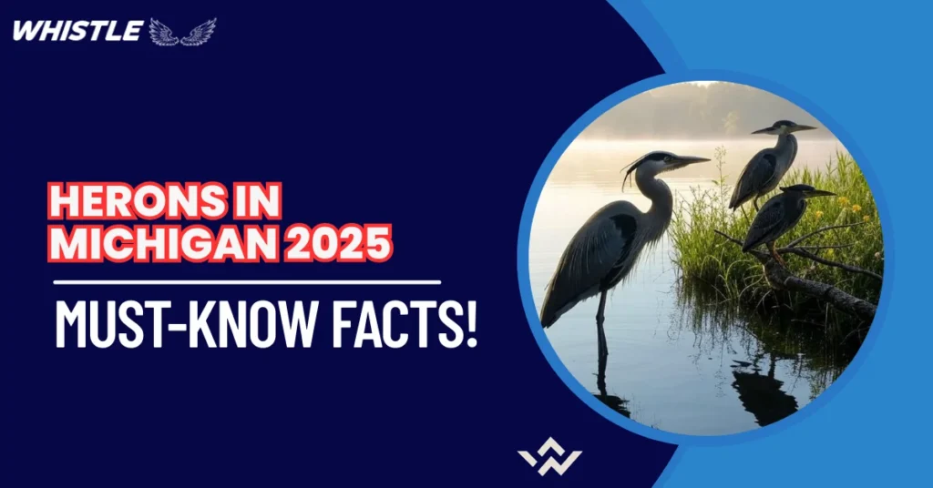 Herons in Michigan 2025 - Must-Know Facts!